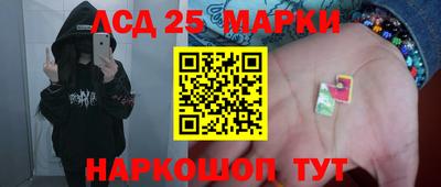 spice Славгород